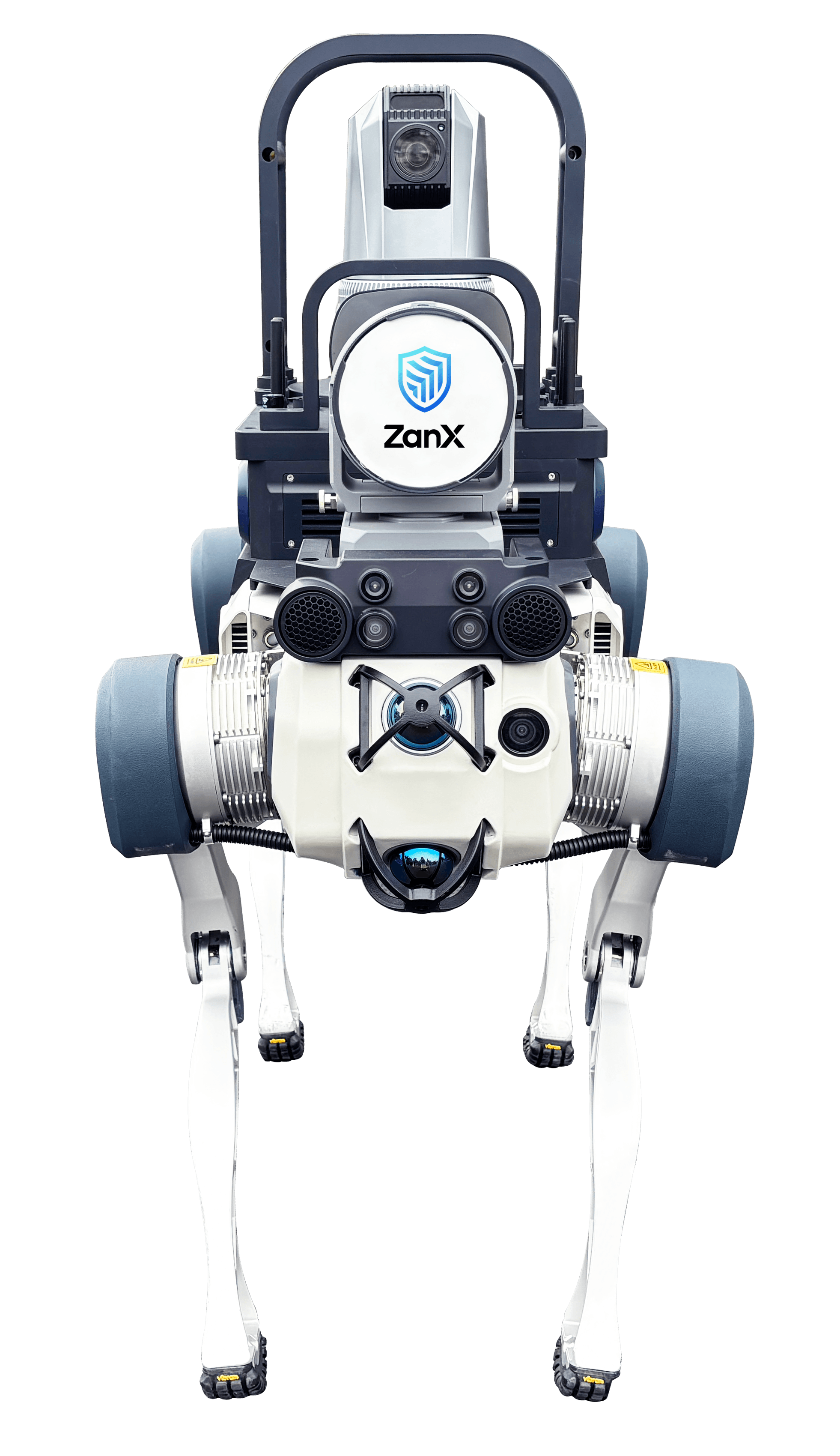 AI Patrol Net-Capturing Robot Dog Pro